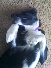 Zoe