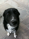 Zoe