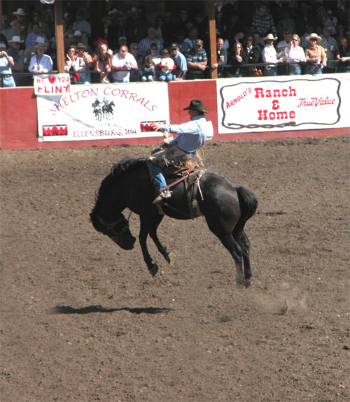 Bronco Busting